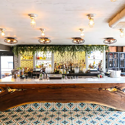 Monaco Sage 01 - Image 6