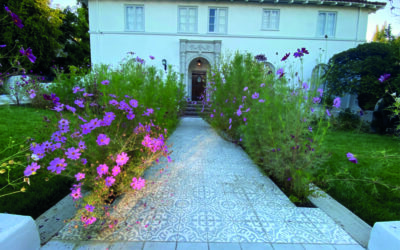 Cement Tiles in Europe: The Design Heritage, Modern Trends, and How to Get the Look with Handmade Cement Tiles